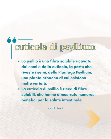 Infografica: Come preparare e assumere la polvere di psillio