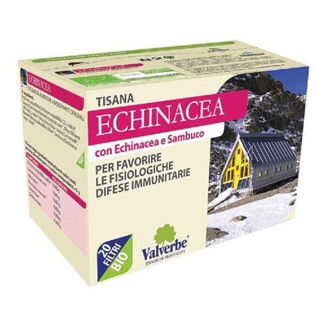 Preparazione tisana di Echinacea