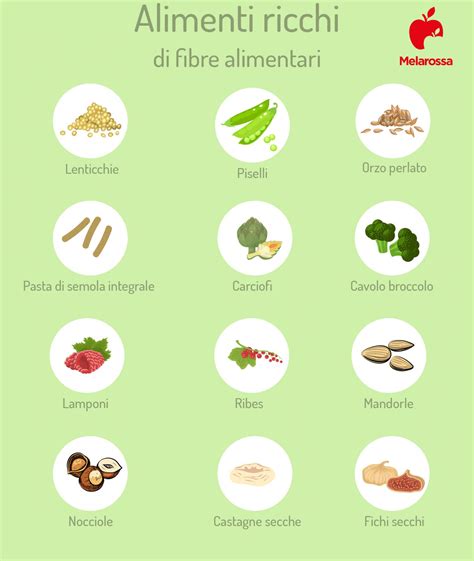 Infografica su alimenti ricchi di fibre e probiotici