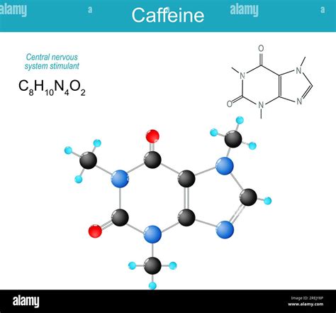 Schema che illustra come la caffeina agisce sul sistema nervoso centrale