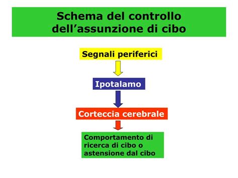 Schema di assunzione dell'integratore