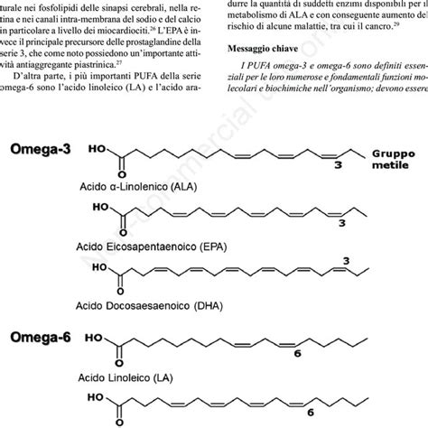 Schema degli acidi grassi Omega-3
