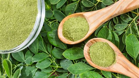 Polvere di Moringa in un cucchiaio