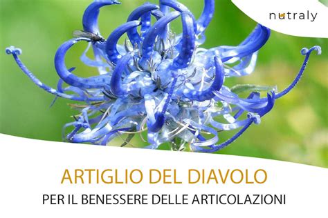 Schema dei benefici dell'artiglio del diavolo per le articolazioni