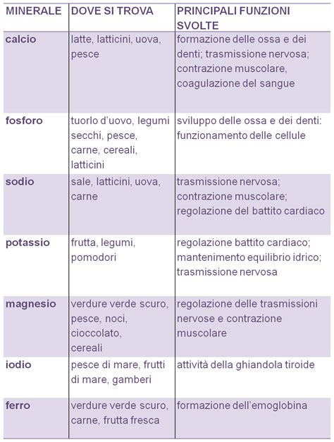 Schema dei principali sali minerali nel corpo umano