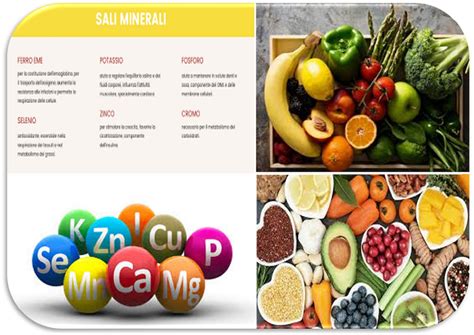 Infografica sulla differenza tra macro e microelementi