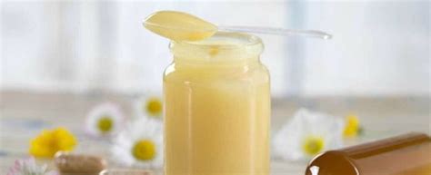 Vasetto di pappa reale fresca