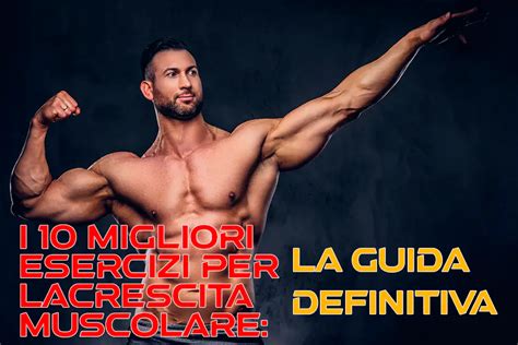 Grafico che mostra i benefici dei BCAA sul recupero e la crescita muscolare