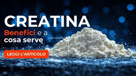 Grafico che illustra i benefici combinati di creatina, carnitina e arginina