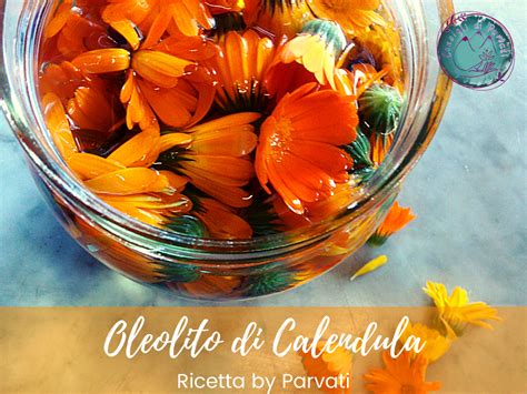 Schema di preparazione di un oleolito