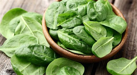 Foglie di spinaci e verdure a foglia verde