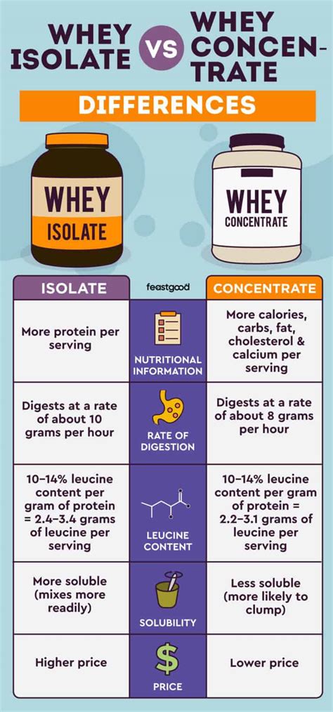 Grafico comparativo tra proteine whey concentrate e isolate
