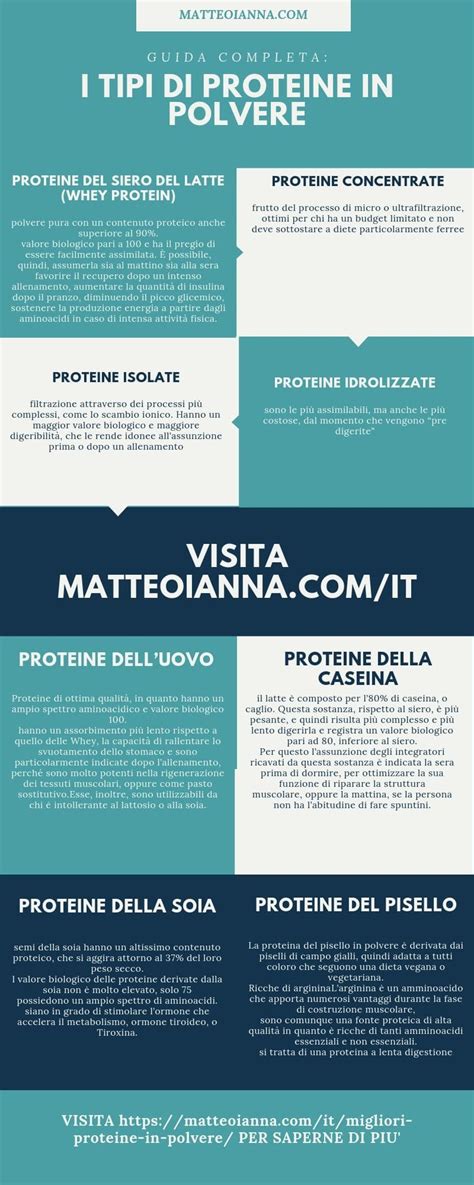 Infografica sui diversi tipi di proteine in polvere