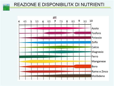 Grafico comparativo dei nutrienti della spirulina