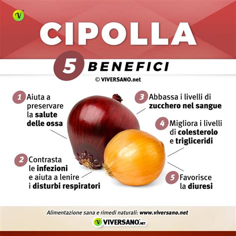 Infografica sui benefici della cipolla