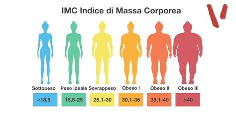 Grafico che mostra l'andamento del peso corporeo e del metabolismo