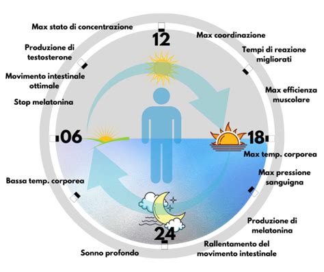 Schema del ritmo circadiano e produzione di melatonina
