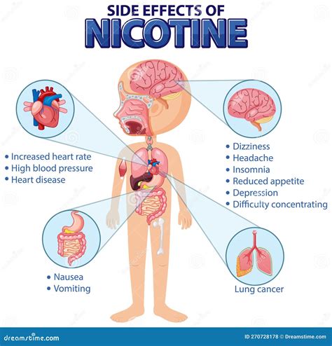 Grafico che illustra i potenziali effetti collaterali della niacina