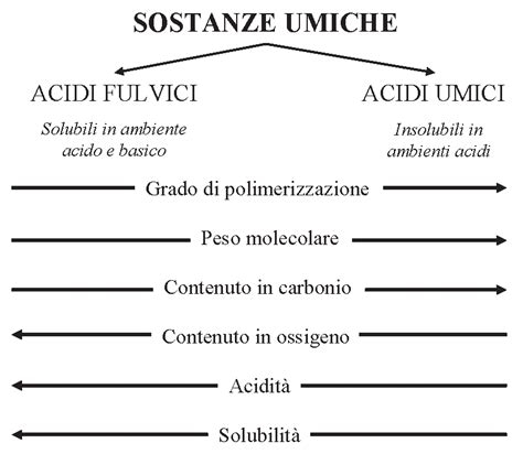 Struttura molecolare degli acidi umici