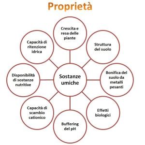 Schema dei benefici degli acidi umici sul suolo e sulle piante
