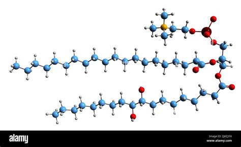 Schematizzazione della struttura molecolare della lecitina