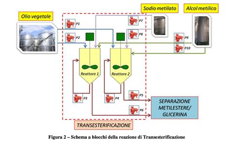 Schema del processo di estrazione vegetale
