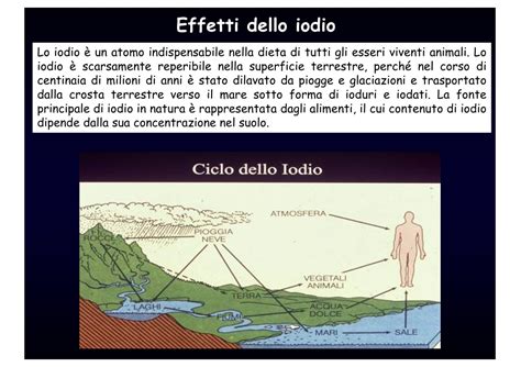 Schema del ciclo dello iodio nell'ambiente