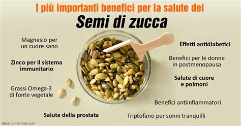 Schema dei benefici dei semi di zucca per la salute