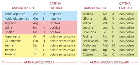 Tabella di classificazione degli amminoacidi in base alla polarità
