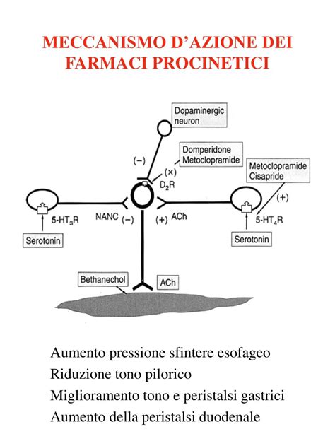 Meccanismo d'azione dei polifenoli nel bloccare i radicali liberi