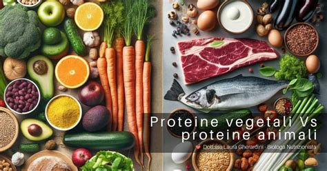 Grafico comparativo del profilo aminoacidico di proteine animali e vegetali
