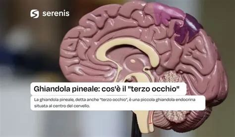 Ghiandola pineale nel cervello umano