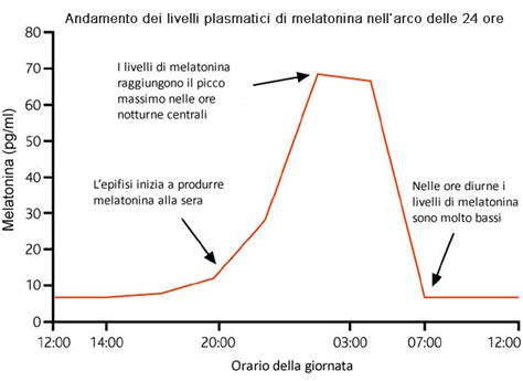 Grafico che illustra il ritmo circadiano e la produzione di melatonina