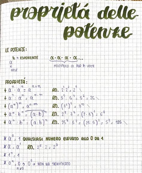 Schema delle proprietà antinfiammatorie e vasoregolatrici dell'ontano nero