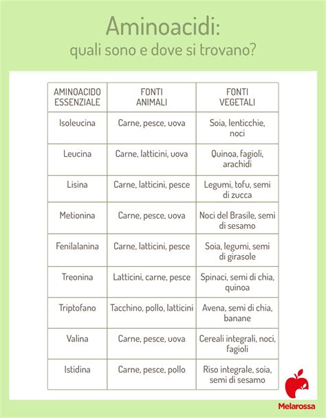 Tabella degli alimenti ricchi di amminoacidi essenziali