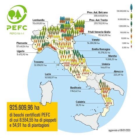 Foresta di castagno certificata PEFC