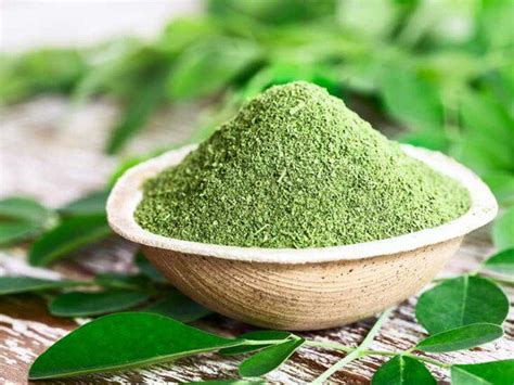 Foglie essiccate di Moringa
