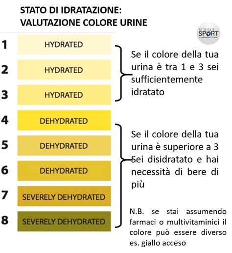 Grafico che illustra il ciclo di idratazione e concentrazione delle urine