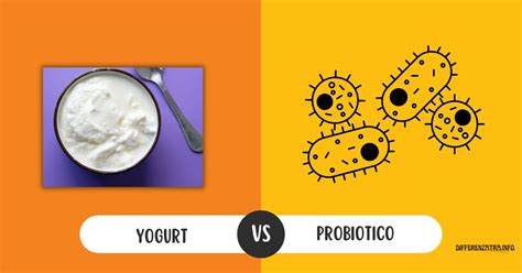 Schema che illustra la differenza tra yogurt e probiotici