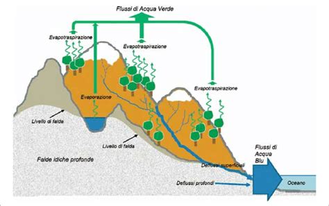 schema comparativo delle diverse tipologie di acqua minerale