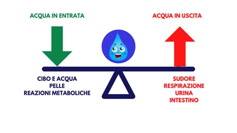 Grafico che mostra l'importanza dell'idratazione per la pelle