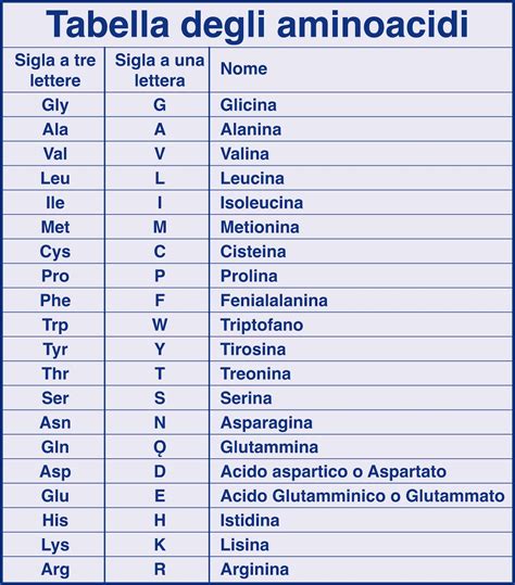 Tabella comparativa degli amminoacidi essenziali e loro funzioni