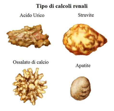 Schema dei diversi tipi di calcoli urinari nei cani
