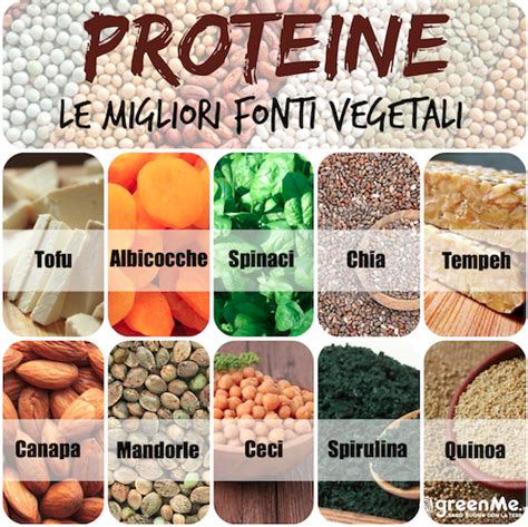 Fonti di proteine vegetali