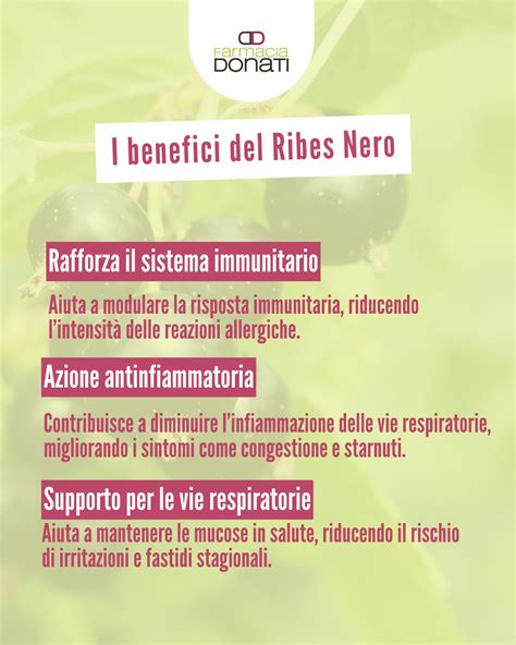 Infografica sui benefici del ribes nero per il sistema immunitario