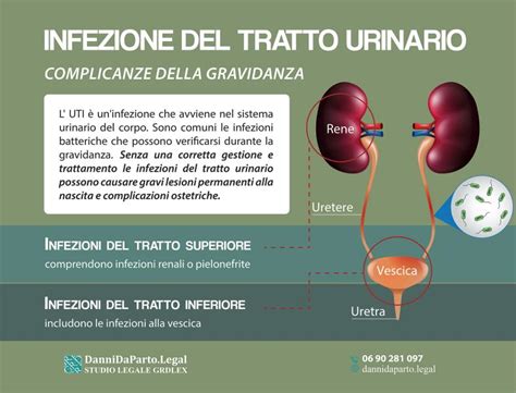 Infografica sui sintomi comuni delle infezioni delle vie urinarie