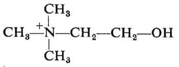 Struttura chimica della colina alfoscerato