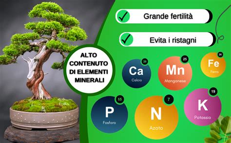 Formula professionale arricchita in Magnesio