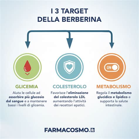 Grafico comparativo degli effetti della berberina sulla glicemia