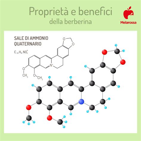 Infografica sui benefici della berberina